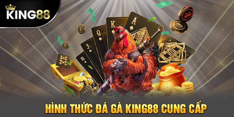 Những kiểu cược hấp dẫn tại sảnh đá gà King88