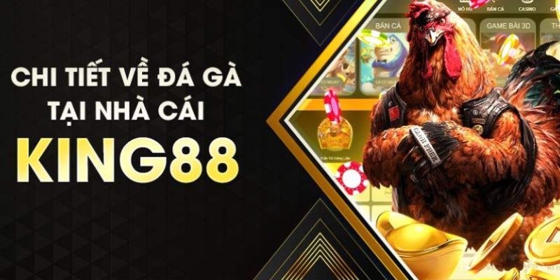 Luật cá cược đá gà King88 siêu đơn giản