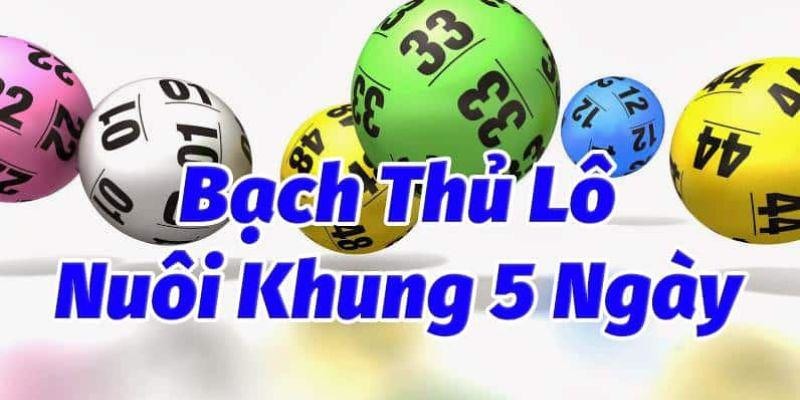 Nuôi bạch thủ lô chuẩn theo khung 5 ngày